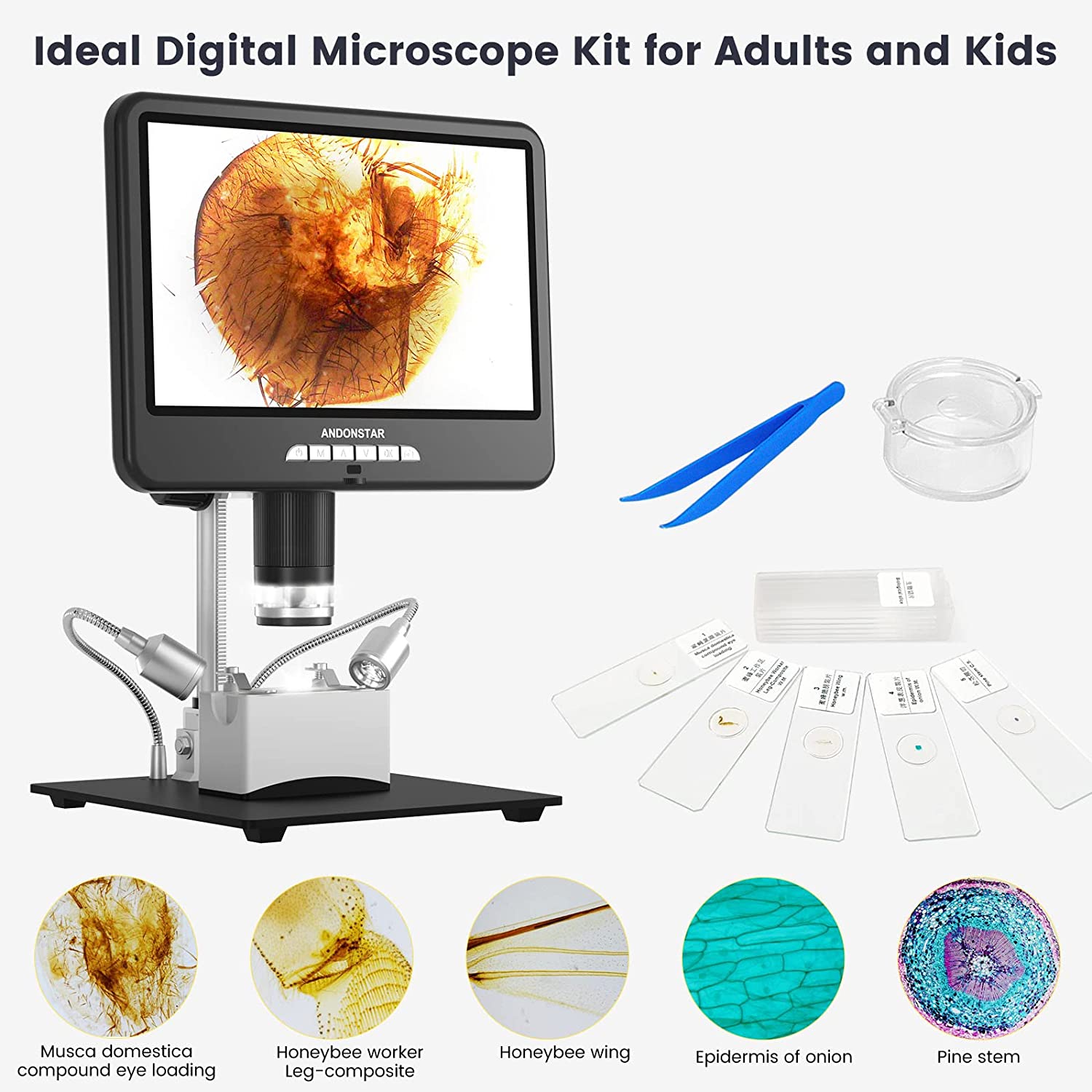 AD207S 7 inch HDMI Digital Microscope, Coin Microscope with LED – Andonstar